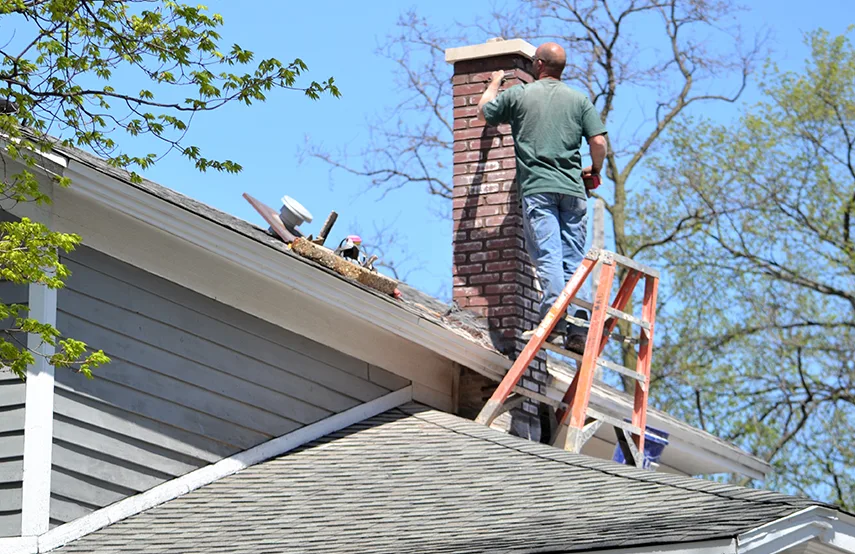 Chimney & Fireplace Inspections Services in Elizabeth City, NC